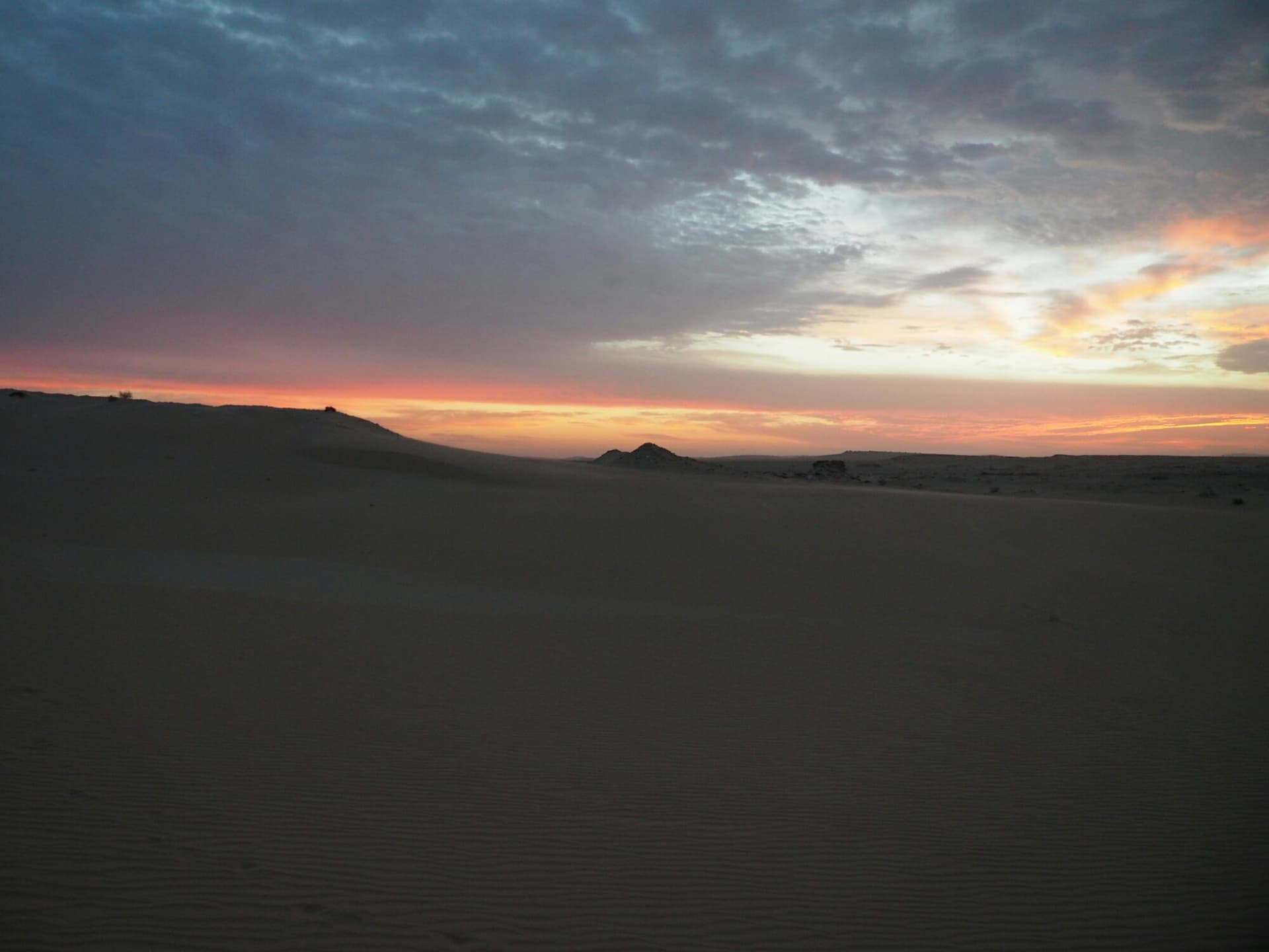 Gallery image 10